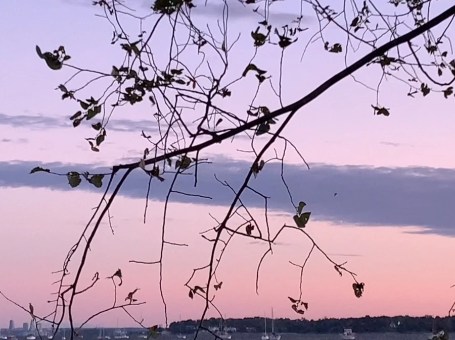 IMG_3175.jpg?type=w966