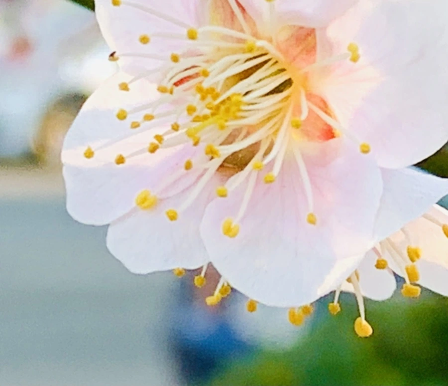 IMG_0922.jpg?type=w966