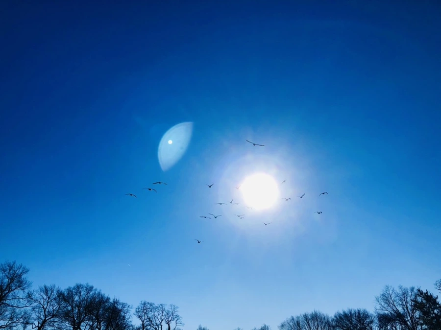 IMG_8024.jpg?type=w966