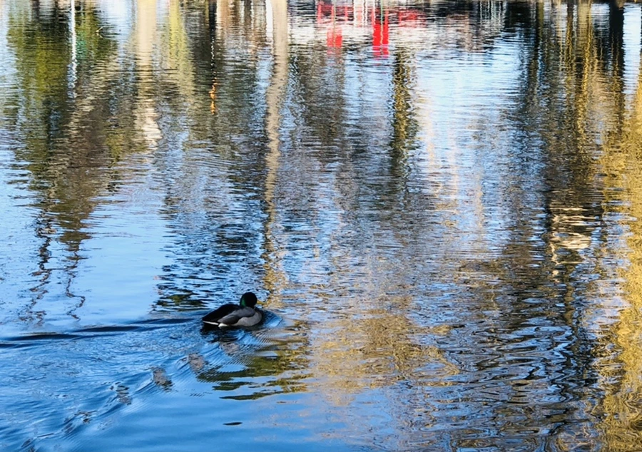 IMG_9780.jpg?type=w966