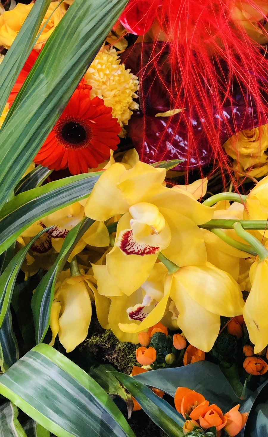 IMG_1860.jpg?type=w966