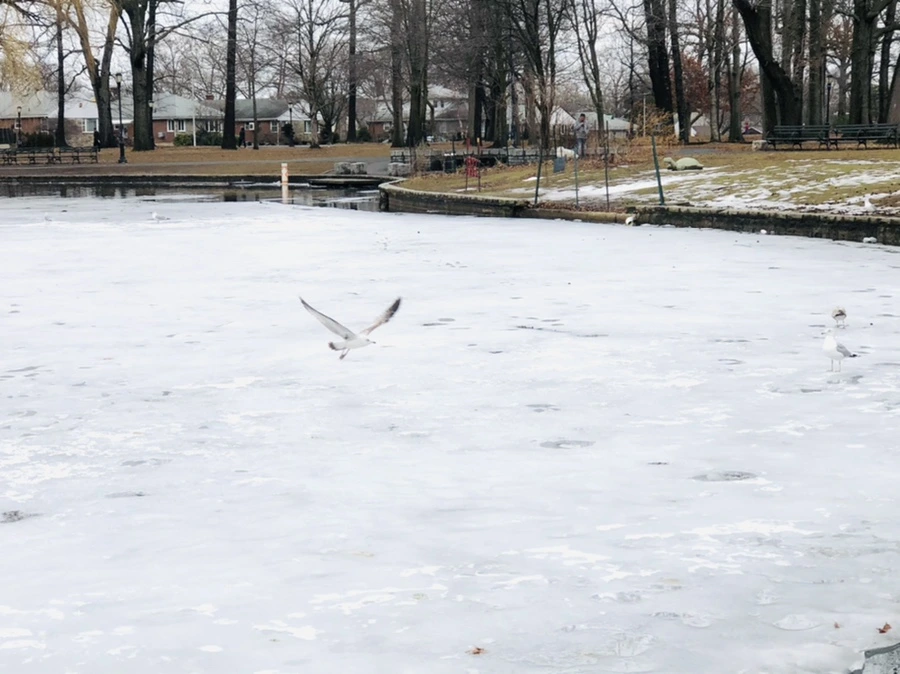 IMG_6501.jpg?type=w966