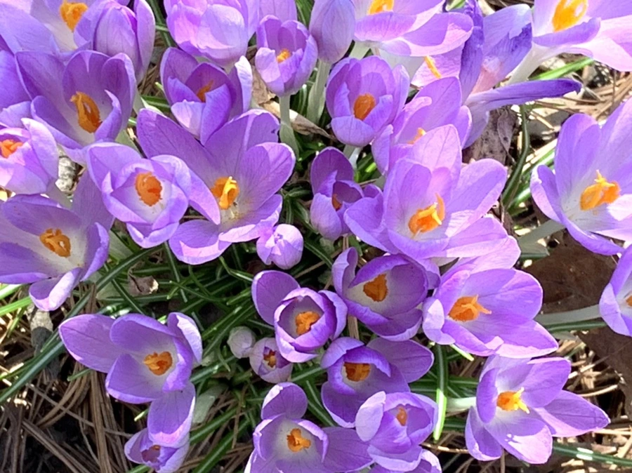 IMG_1288.jpg?type=w966