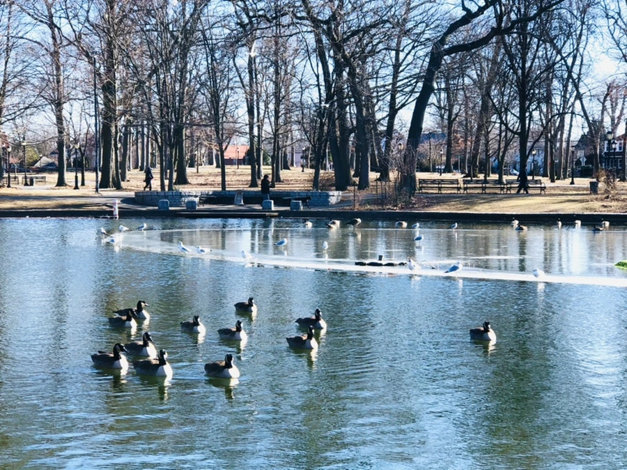 IMG_5461.jpg?type=w966