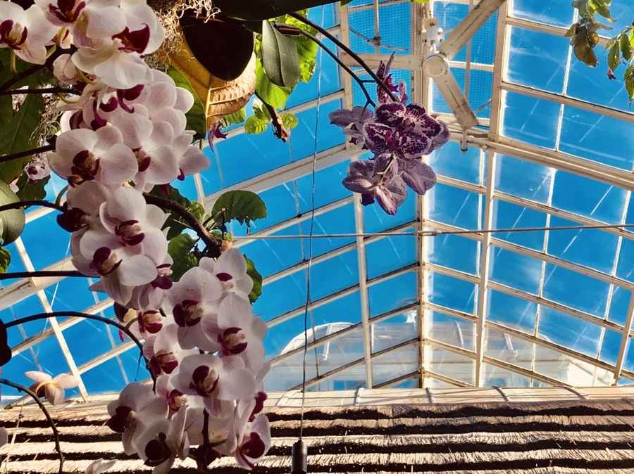 IMG_6262.jpg?type=w966