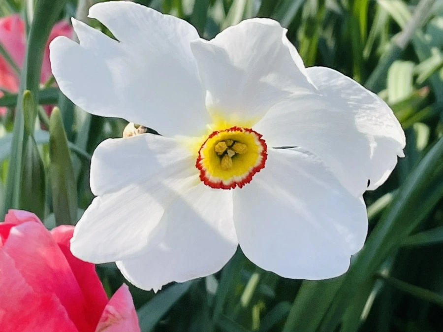 IMG_1577.jpg?type=w966