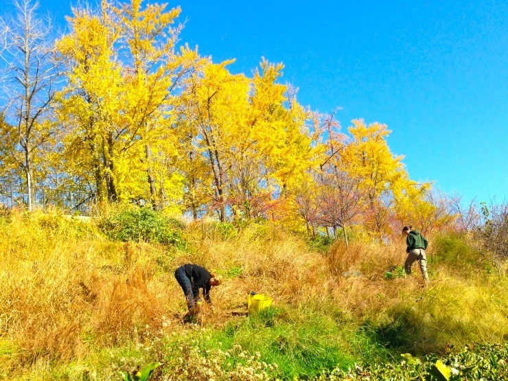 IMG_7533.JPG?type=w1