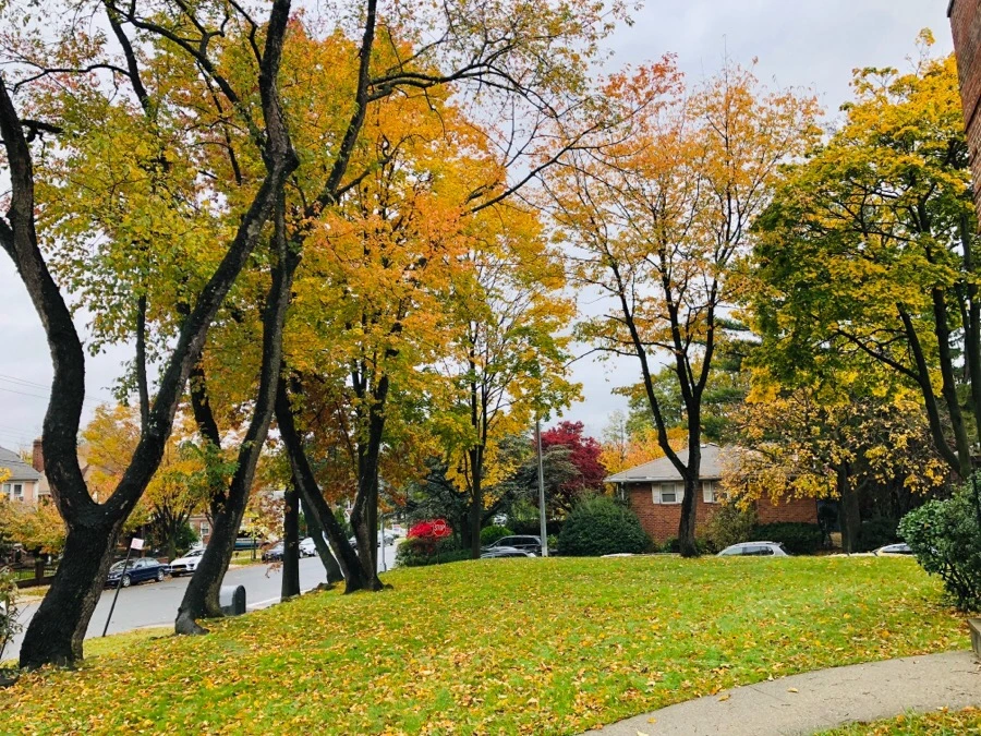 IMG_7433.jpg?type=w966