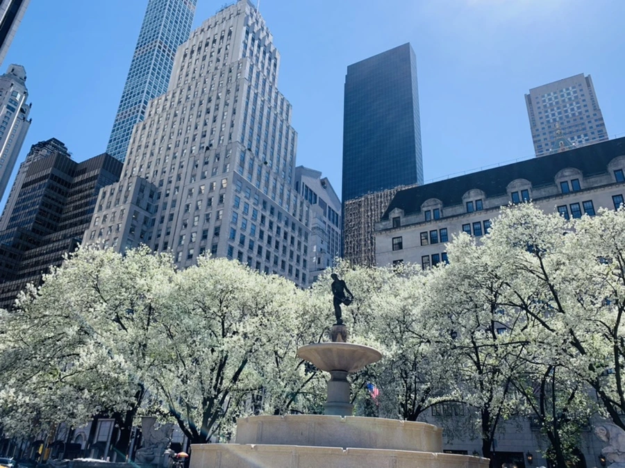 IMG_1608.jpg?type=w966