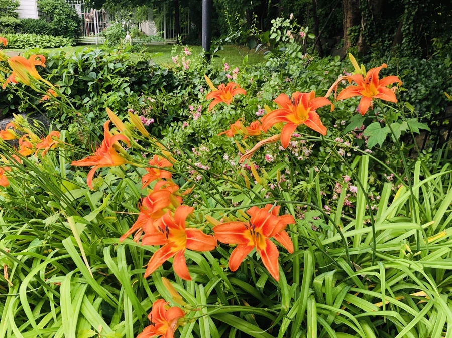 IMG_6571.jpg?type=w966