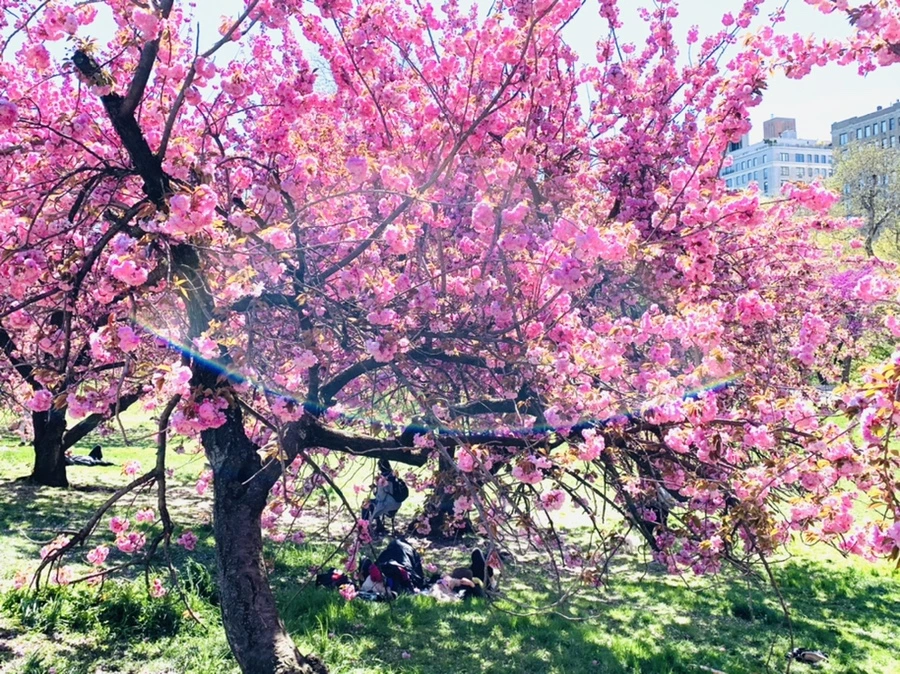 IMG_5922.jpg?type=w966