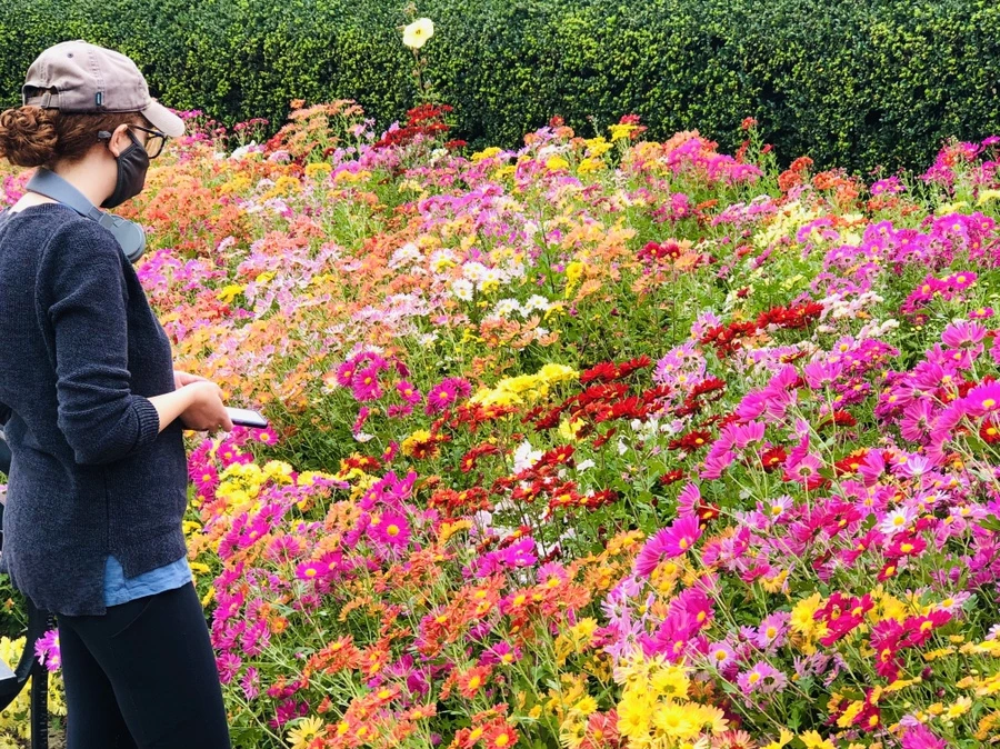 IMG_2531.jpg?type=w966