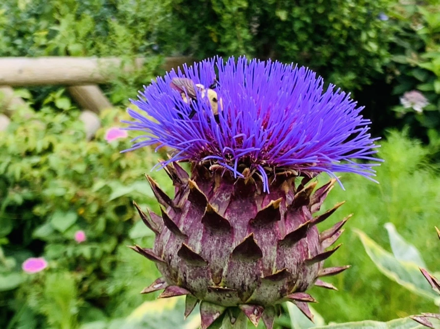 IMG_9399.jpg?type=w966