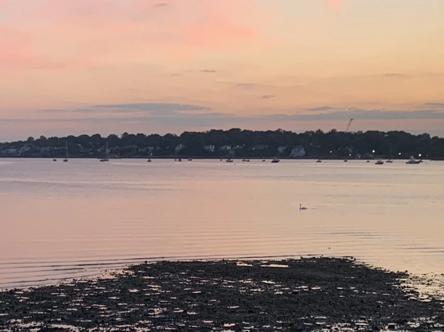 IMG_8723.jpg?type=w966