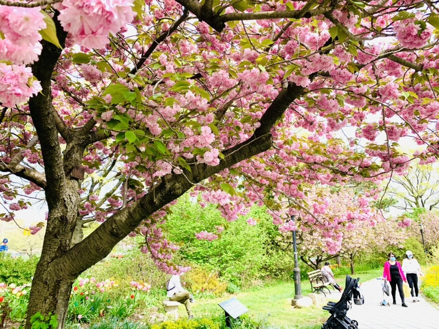 IMG_7002.jpg?type=w966