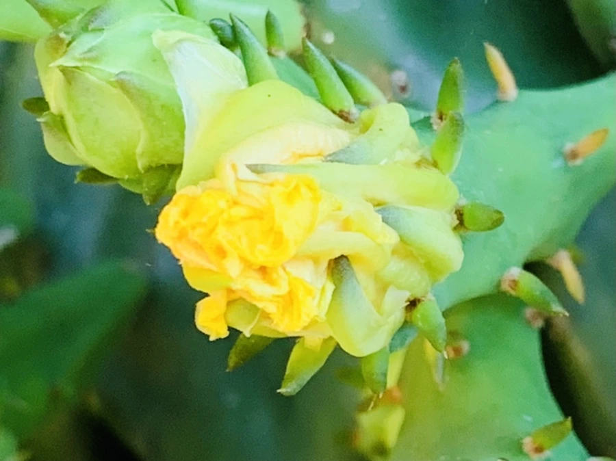 IMG_4364.jpg?type=w966