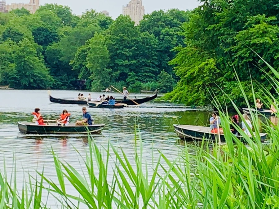 IMG_3384.jpg?type=w966