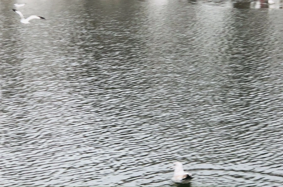 IMG_3300.jpg?type=w966