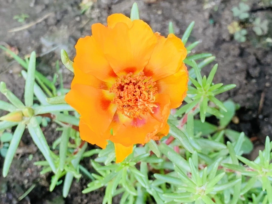 IMG_8413.jpg?type=w966