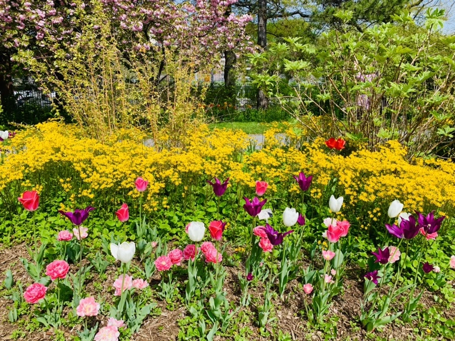 IMG_6897.jpg?type=w966