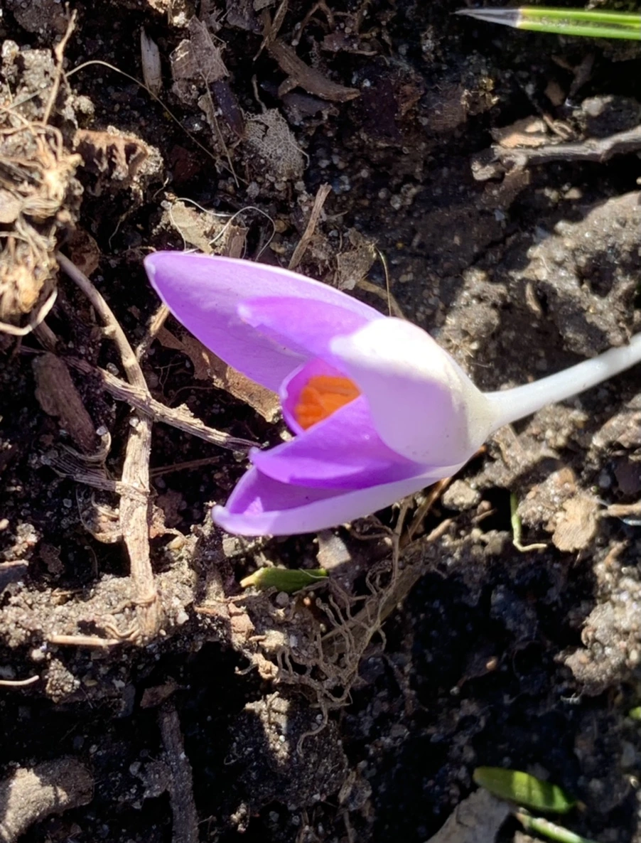 IMG_7483.jpg?type=w966