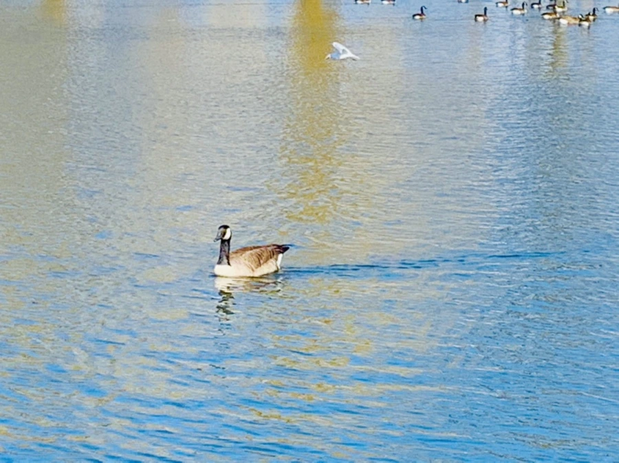 IMG_9968.jpg?type=w966