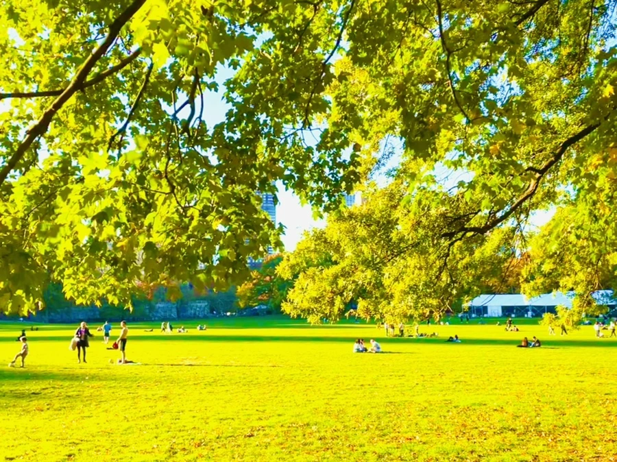 IMG_1361.jpg?type=w966