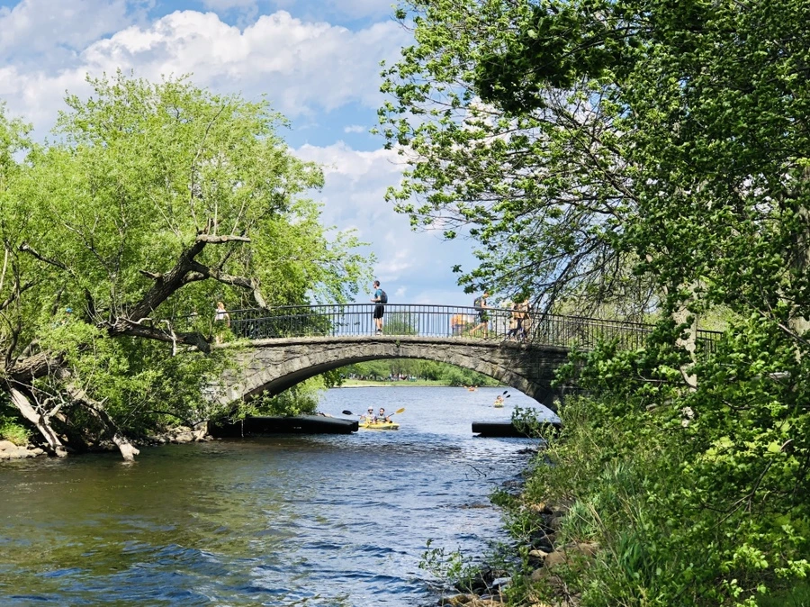 IMG_5236.jpg?type=w966