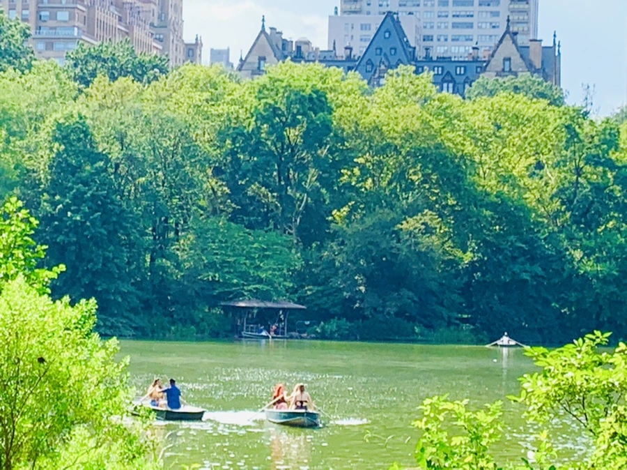 IMG_0653.jpg?type=w966