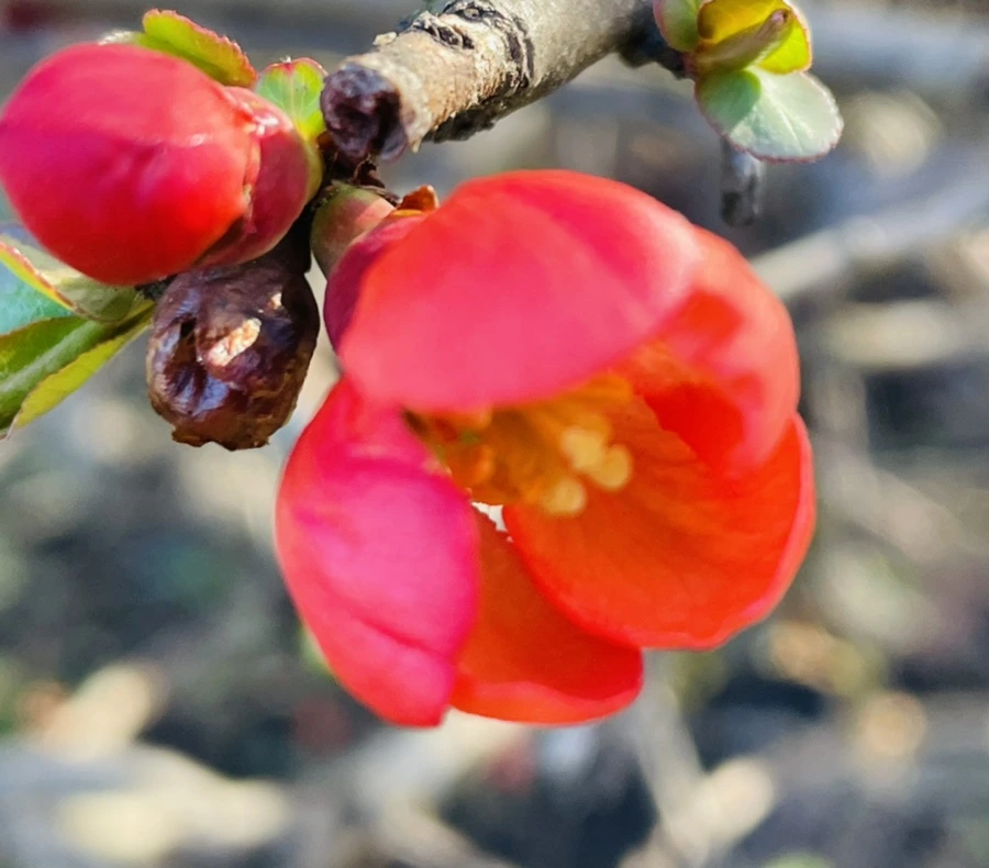 IMG_6173.jpg?type=w966