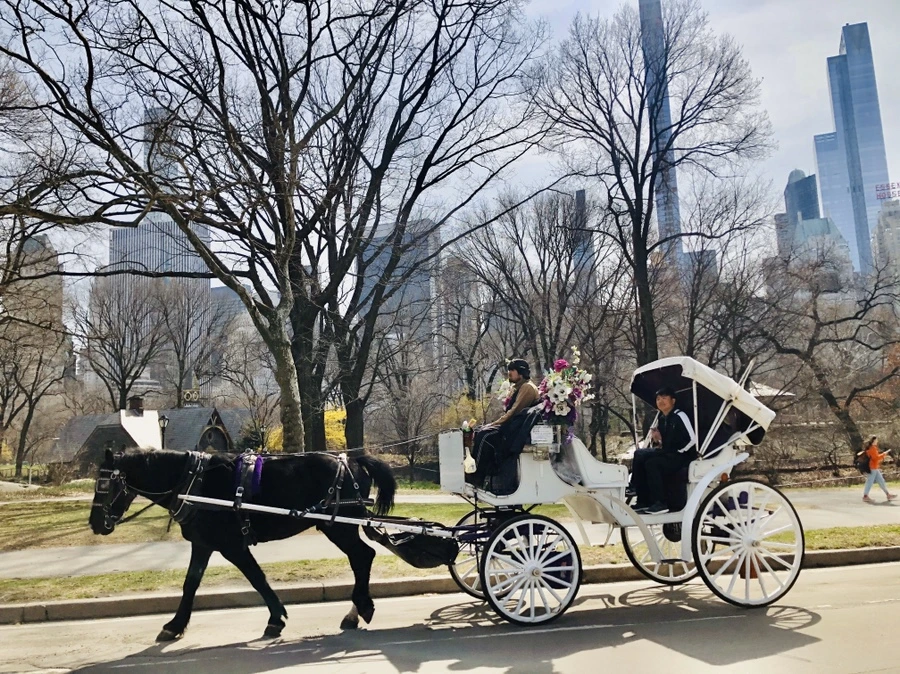 IMG_6459.jpg?type=w966