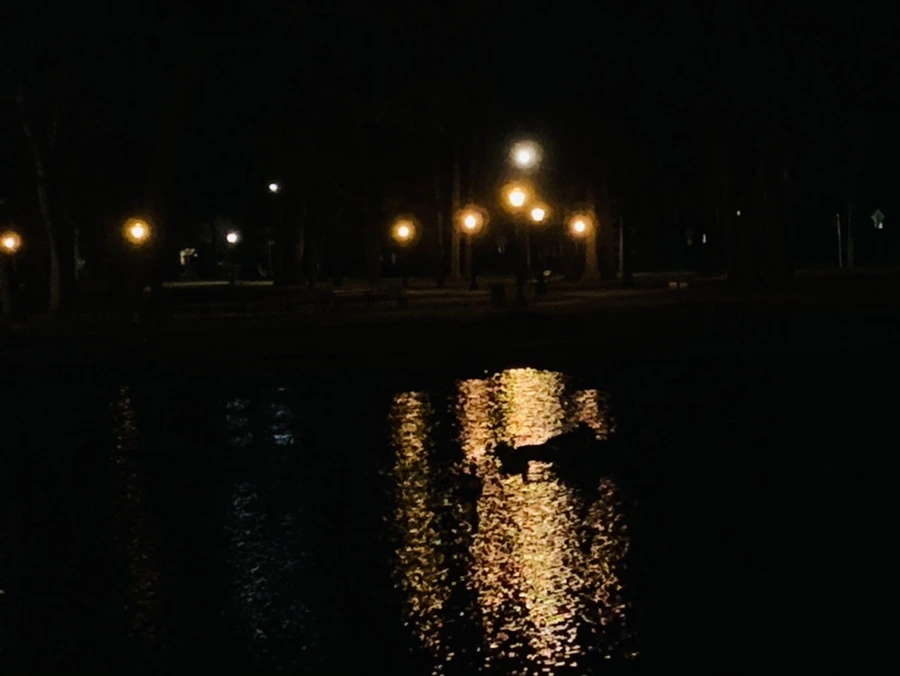 IMG_4604.jpg?type=w966