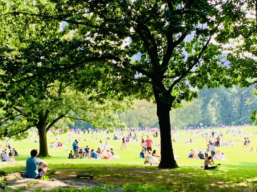 IMG_0626.jpg?type=w966