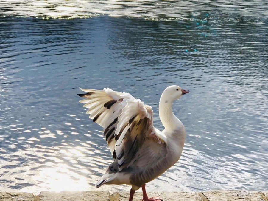 lddDnBOre6AvbrIsU-_WUT5tp3Q