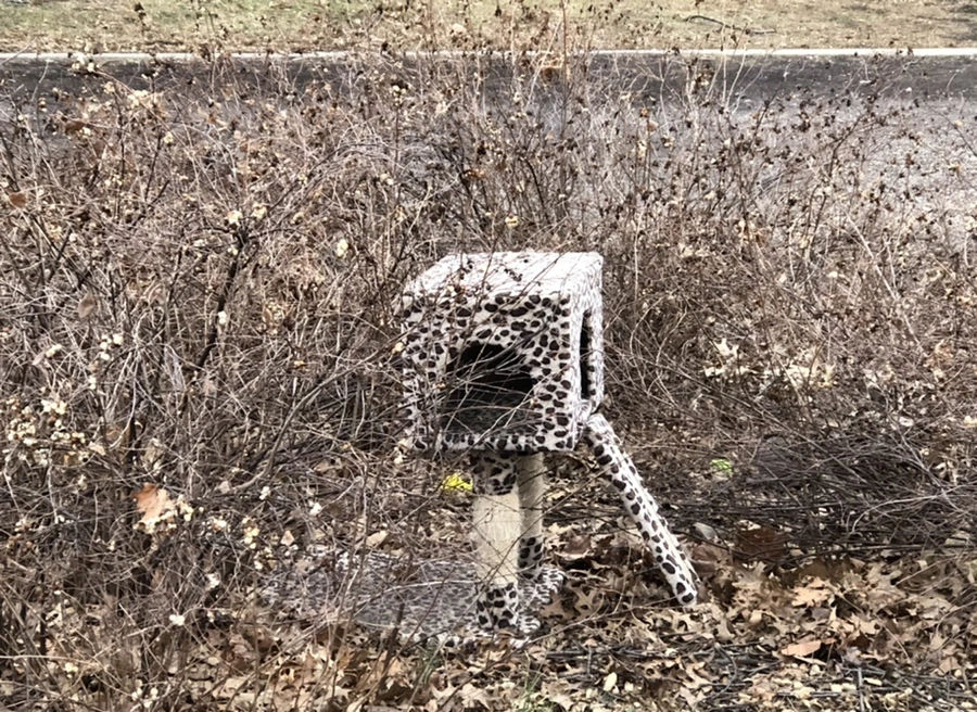 IMG_6505.jpg?type=w966