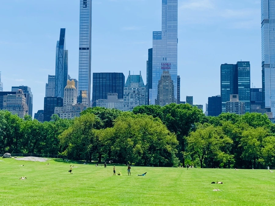 IMG_2308.jpg?type=w966