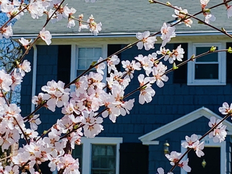 IMG_8074.jpg?type=w966