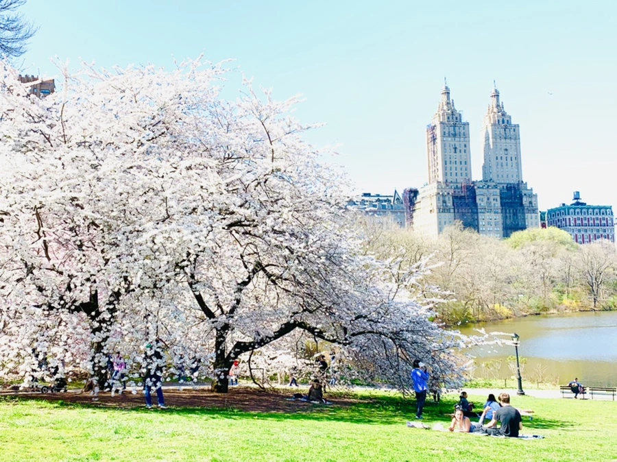 IMG_8966.jpg?type=w966