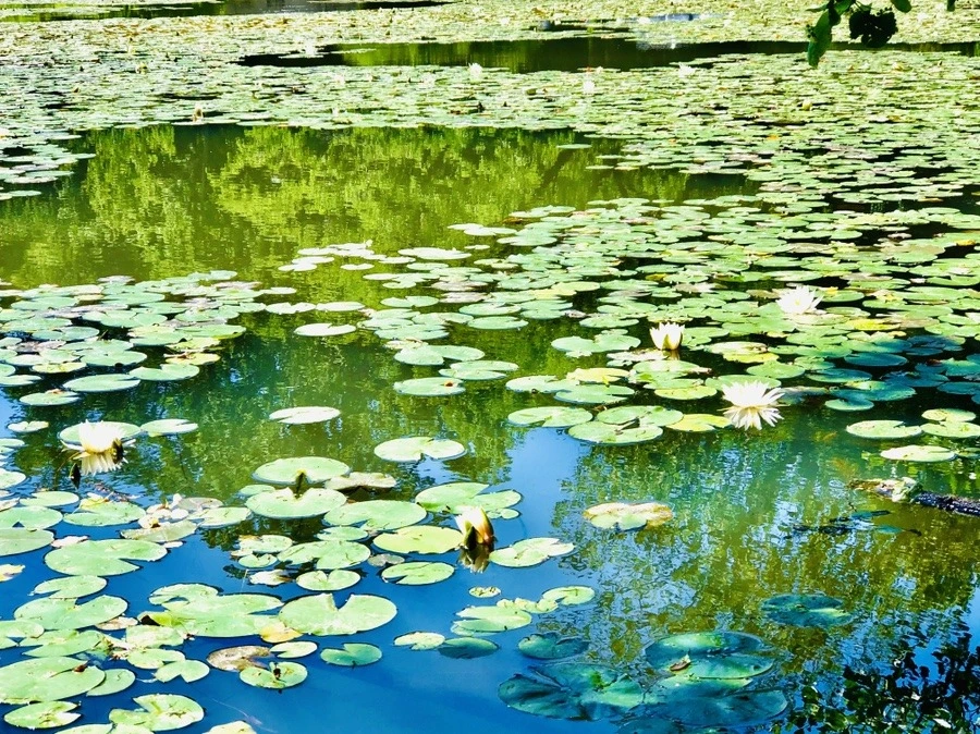 aBfFZhBssO28EmVMF69GTboPlXI