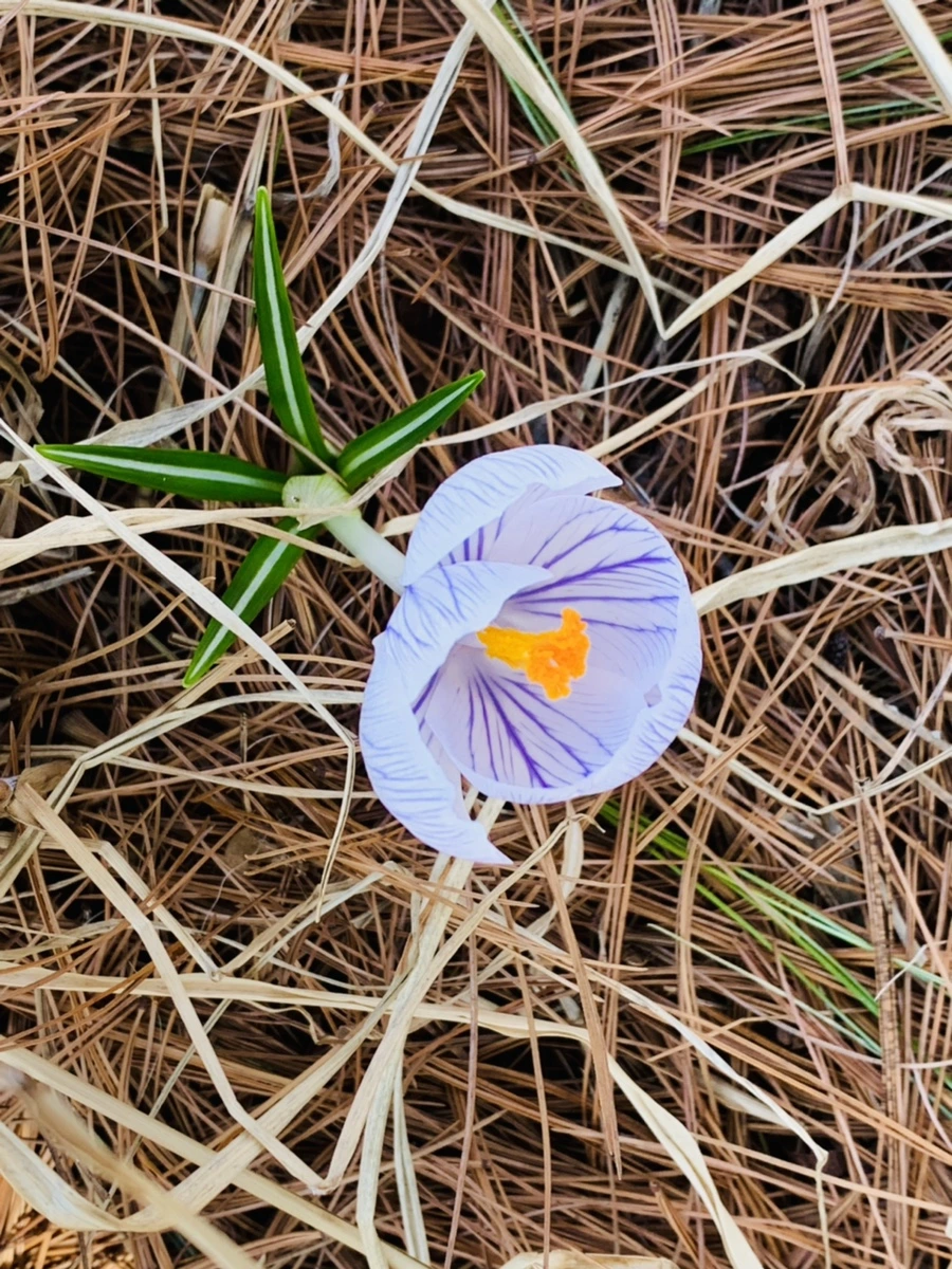 IMG_2981.jpg?type=w966