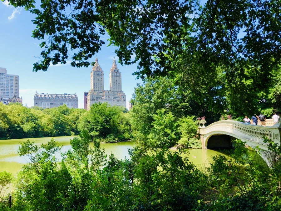 IMG_5737.jpg?type=w966