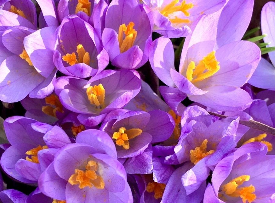 IMG_0164.jpg?type=w966