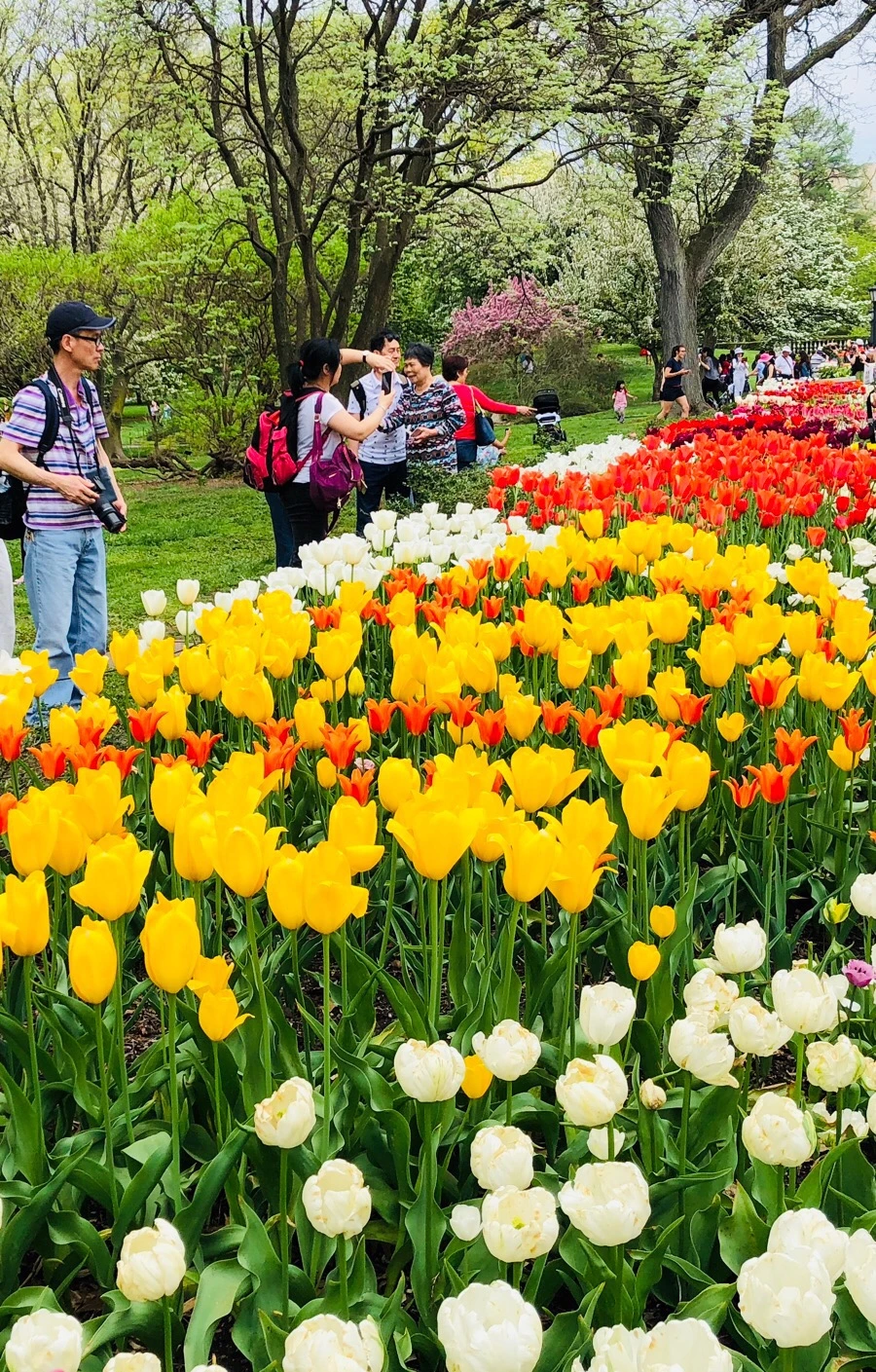 IMG_5530.jpg?type=w966