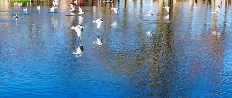 IMG_9766.jpg?type=w966