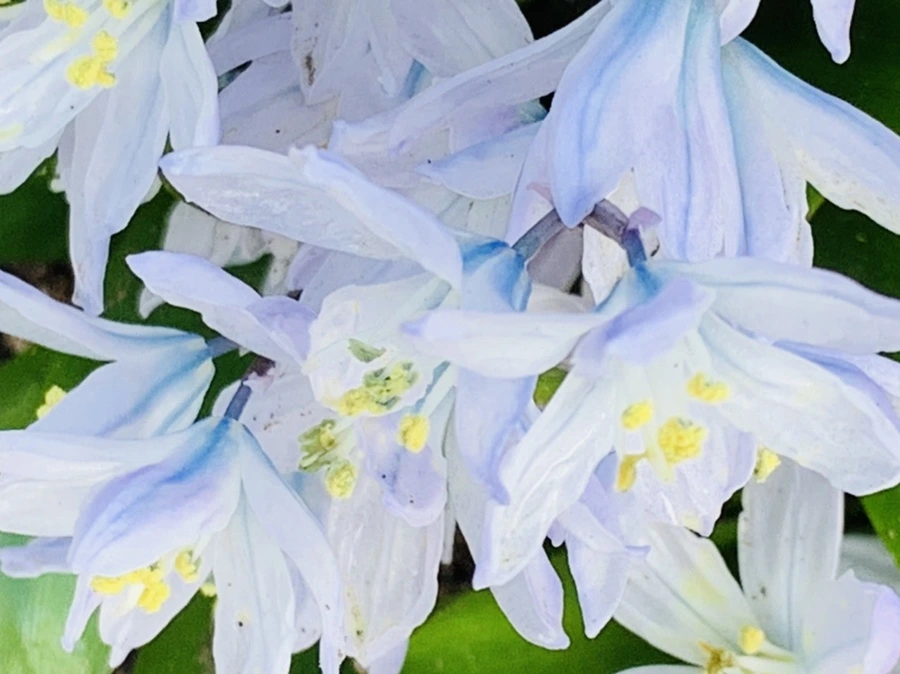 IMG_4145.jpg?type=w966