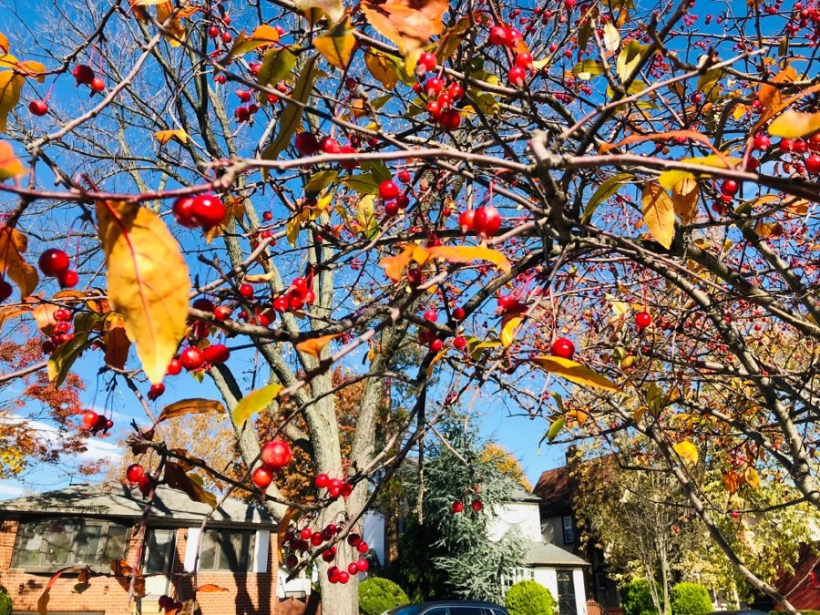 IMG_7489.jpg?type=w966