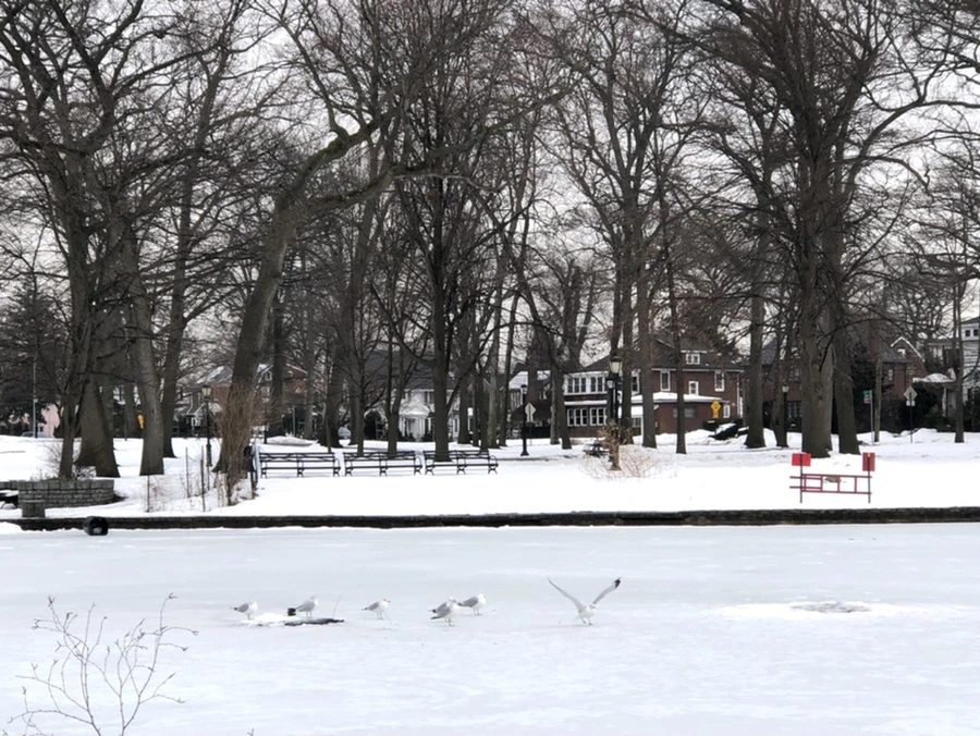 IMG_4310.jpg?type=w966