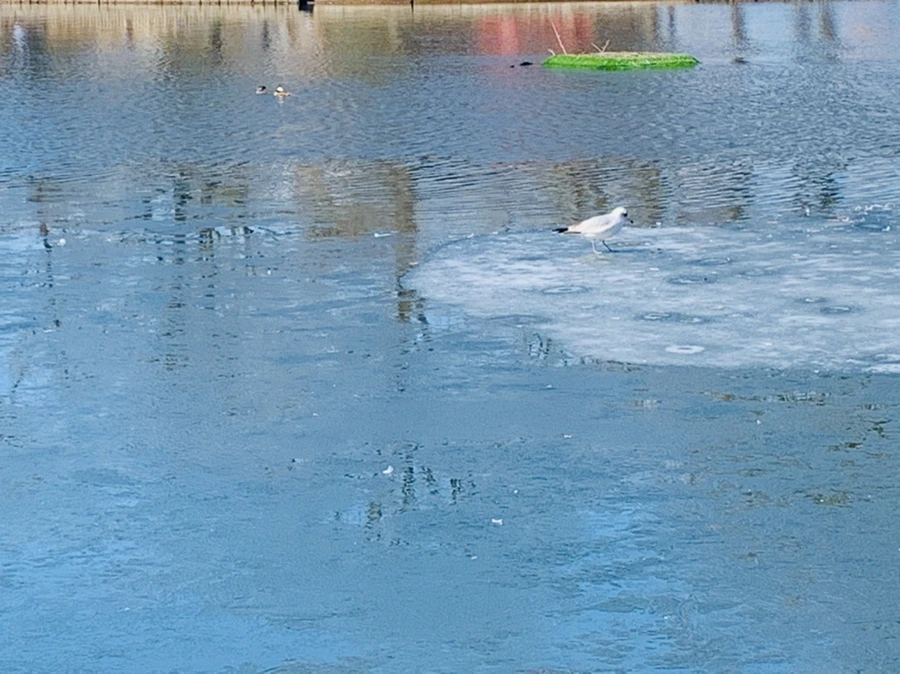 IMG_6998.jpg?type=w966