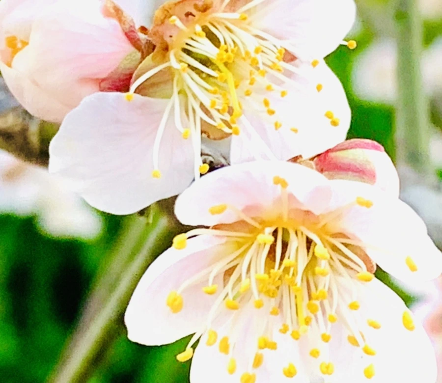 IMG_0927.jpg?type=w966