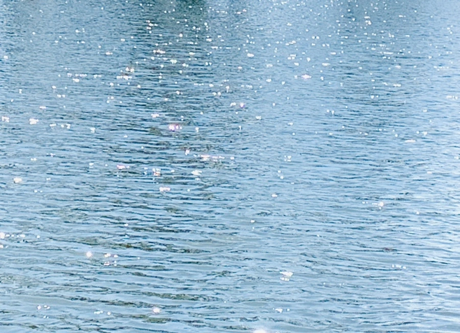 IMG_4462.jpg?type=w966